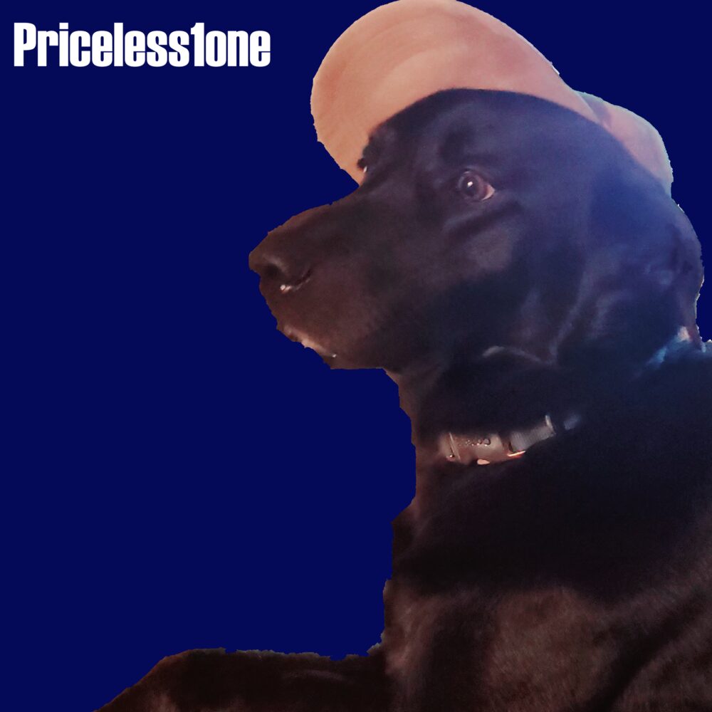 The Priceless1one