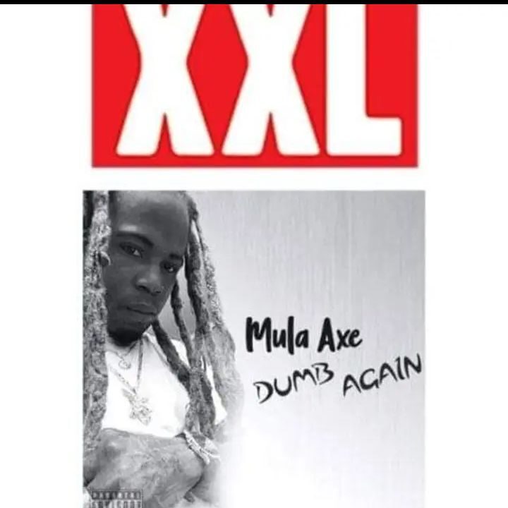 mula_axe
