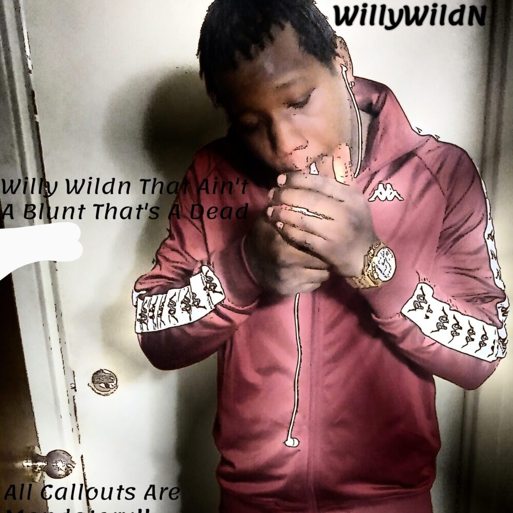 WillyWildN